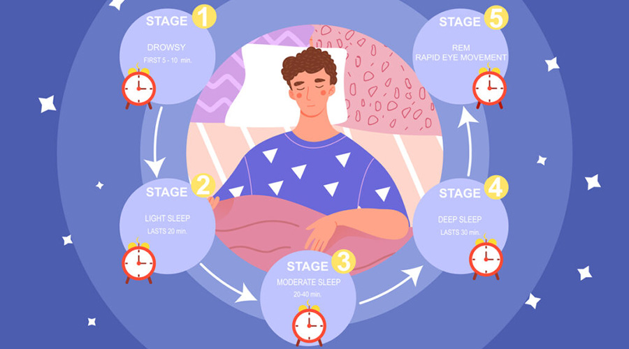 do the sleep stages affect